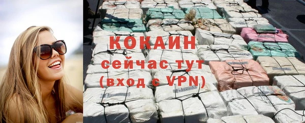 молекула духа Ладушкин
