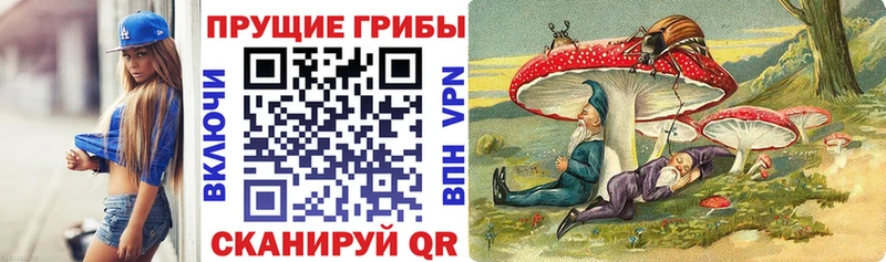 Псилоцибиновые грибы Cubensis  Белая Холуница 